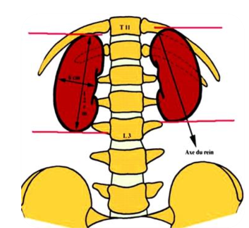 Description of image