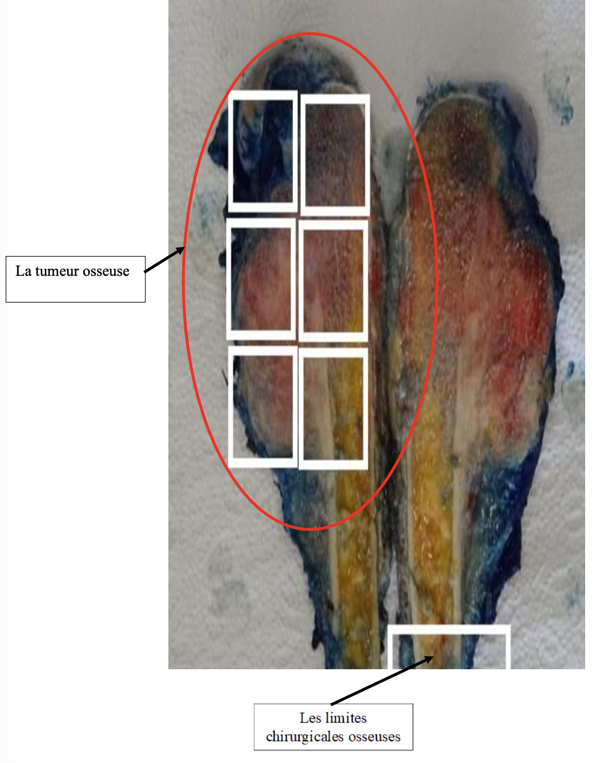 Description of image