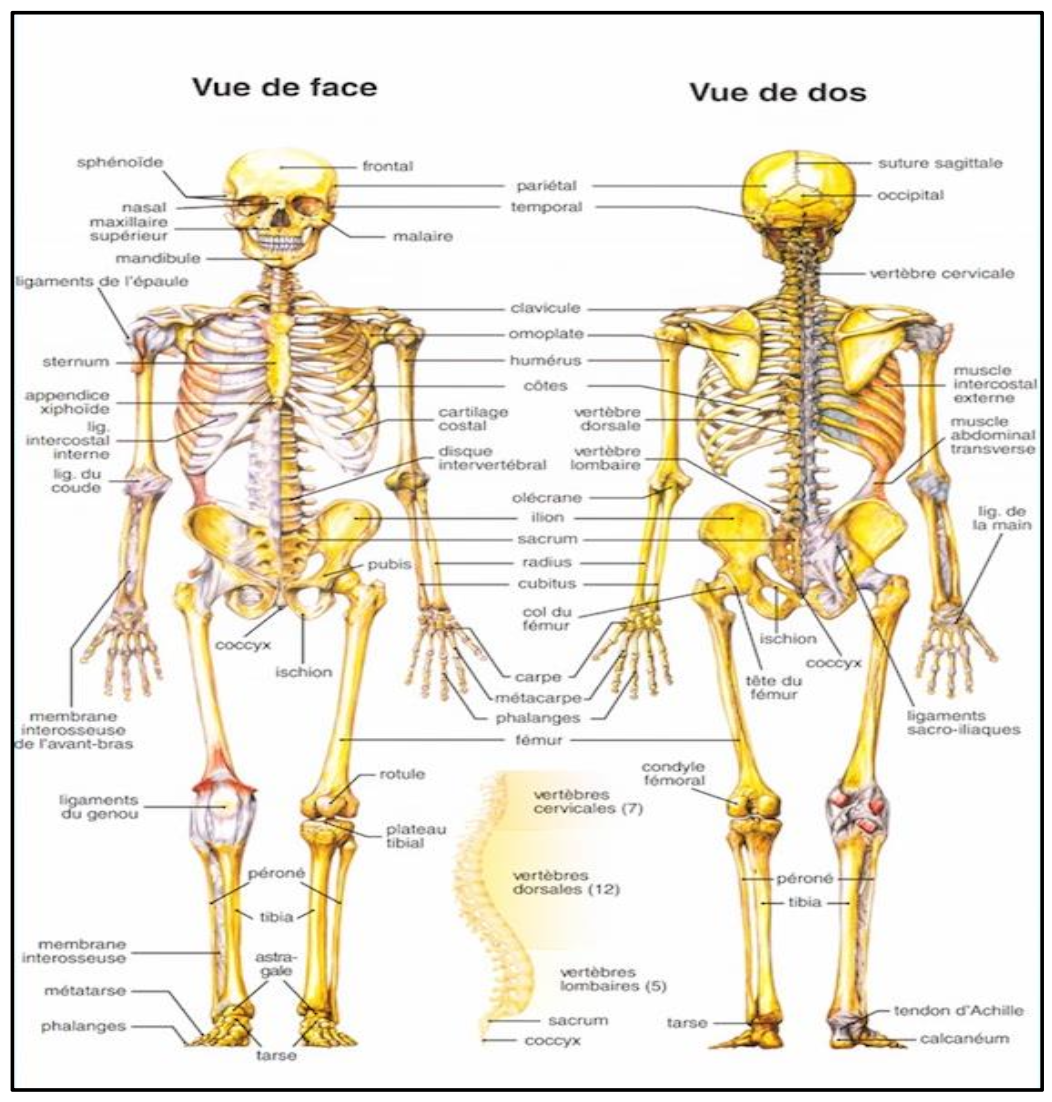 Description of image