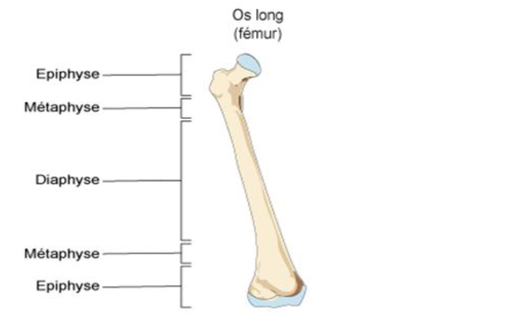 Description of image