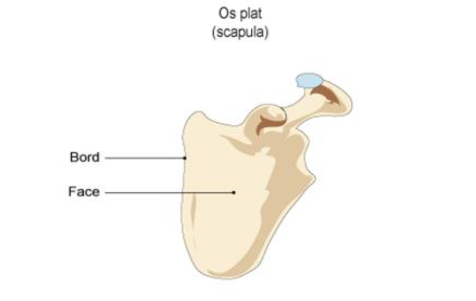 Description of image