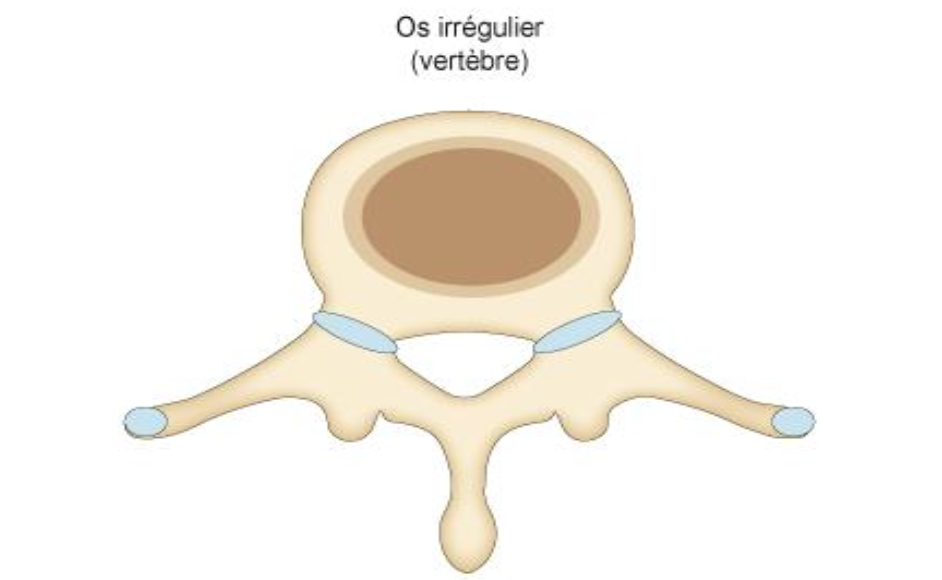 Description of image