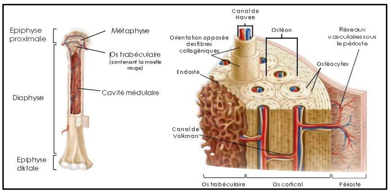 Description of image