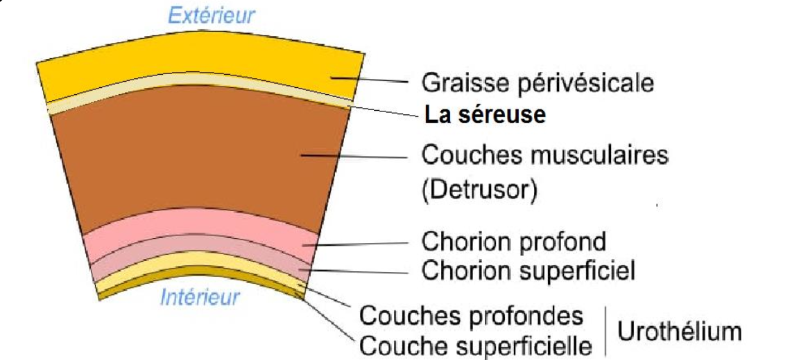 Description of image