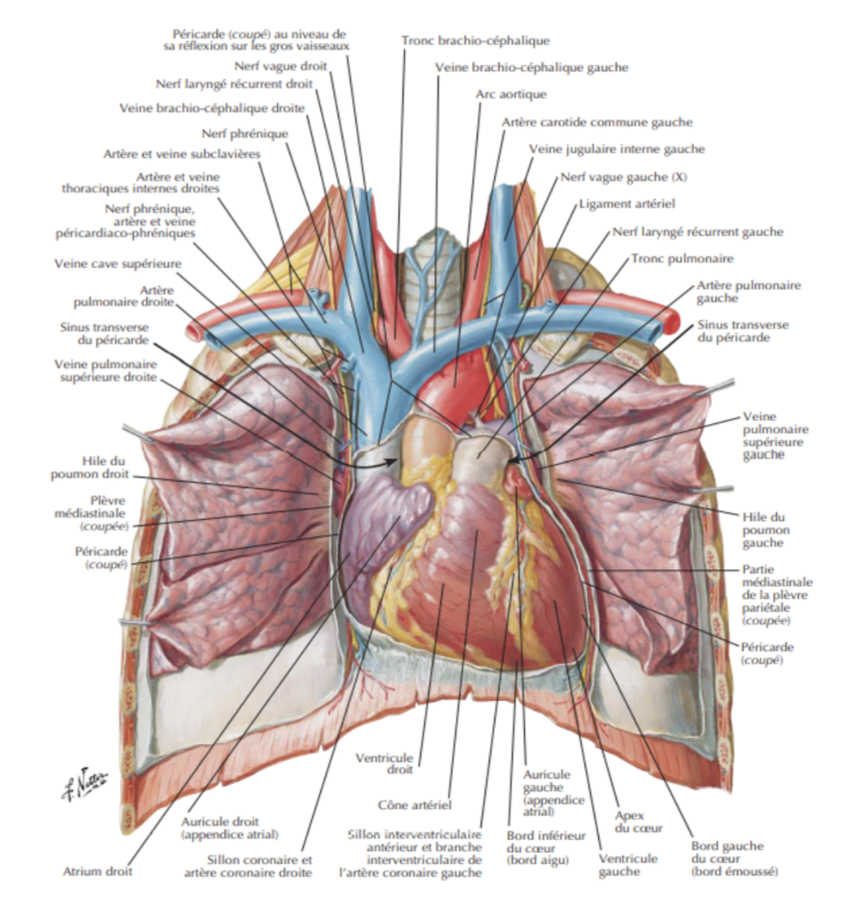 Description of image
