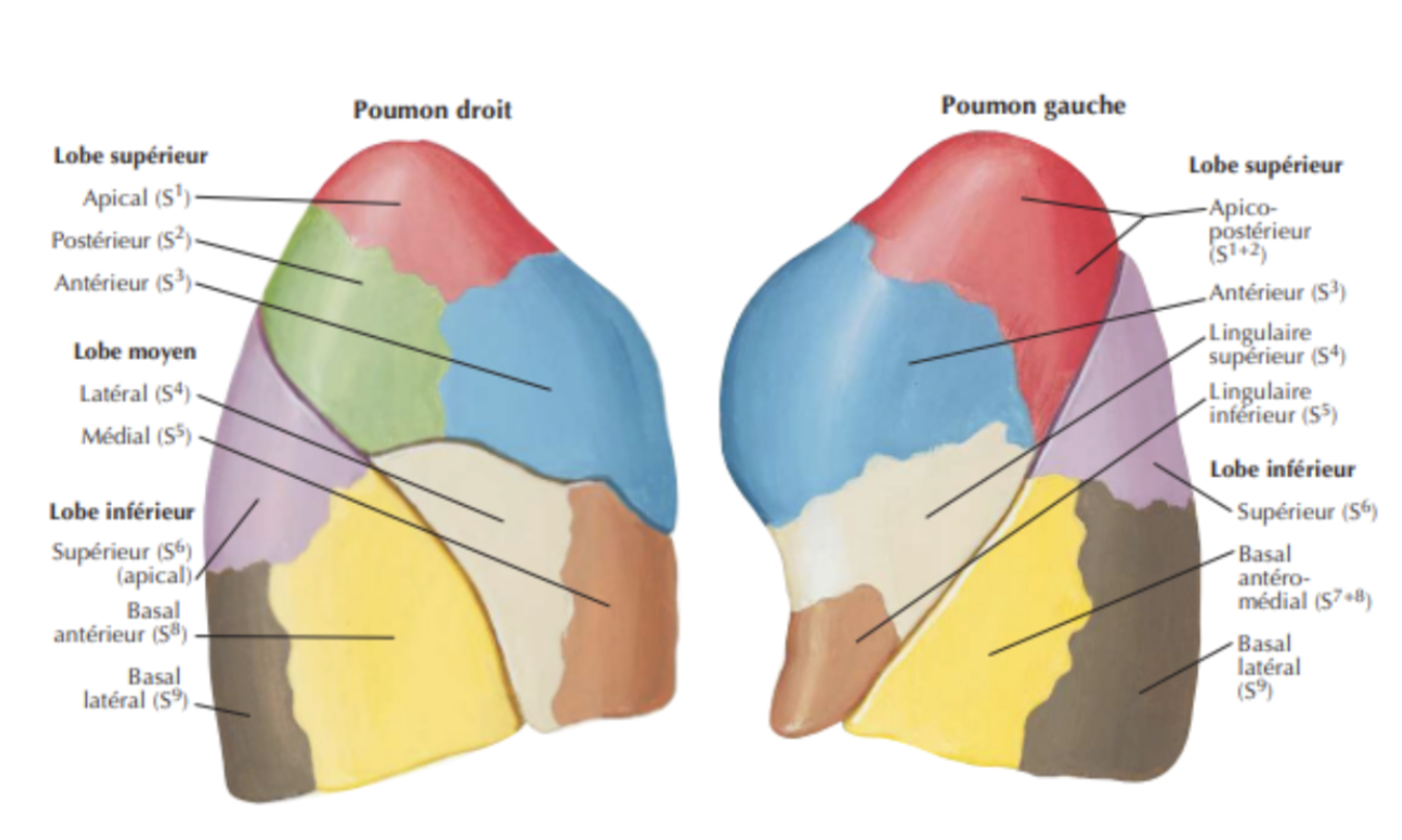 Description of image