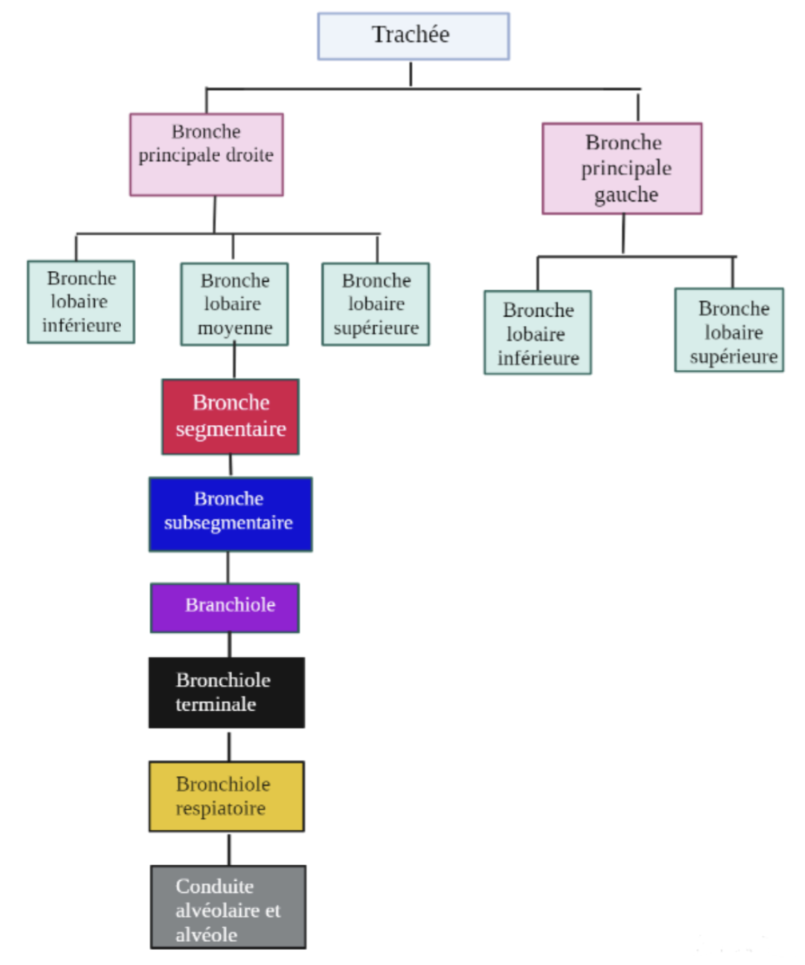 Description of image