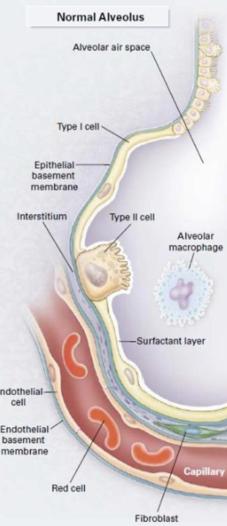Description of image
