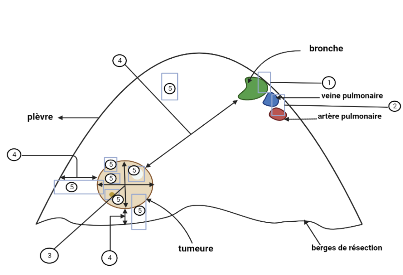 Description of image