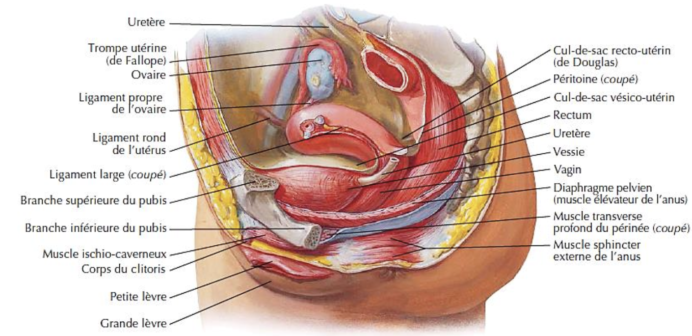Description of image
