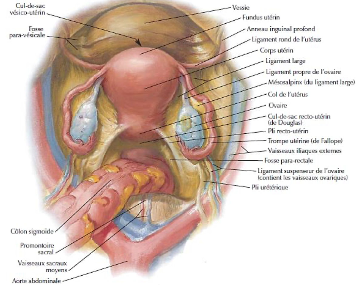 Description of image