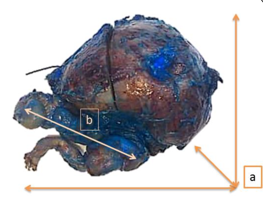 Description of image