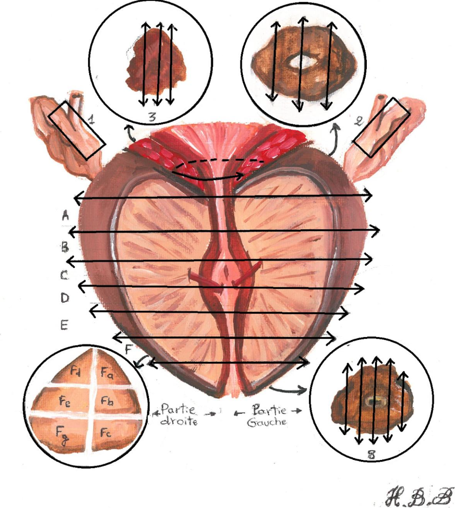 Description of image