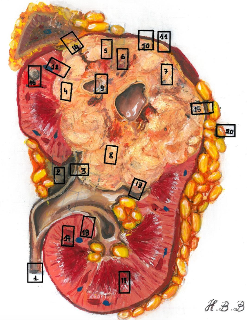 Description of image
