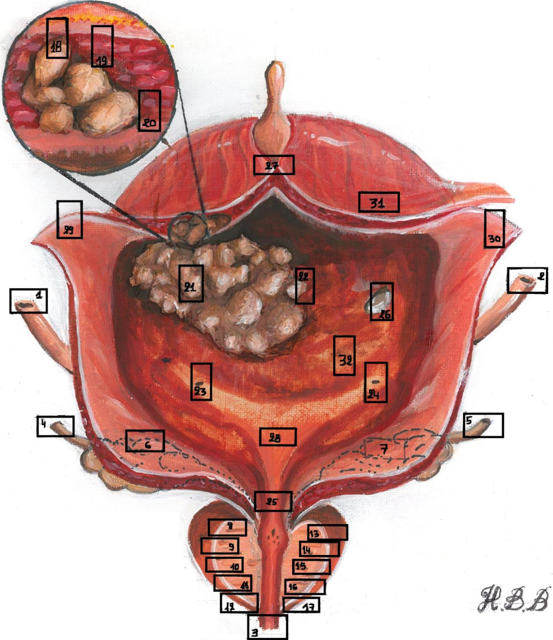 Description of image
